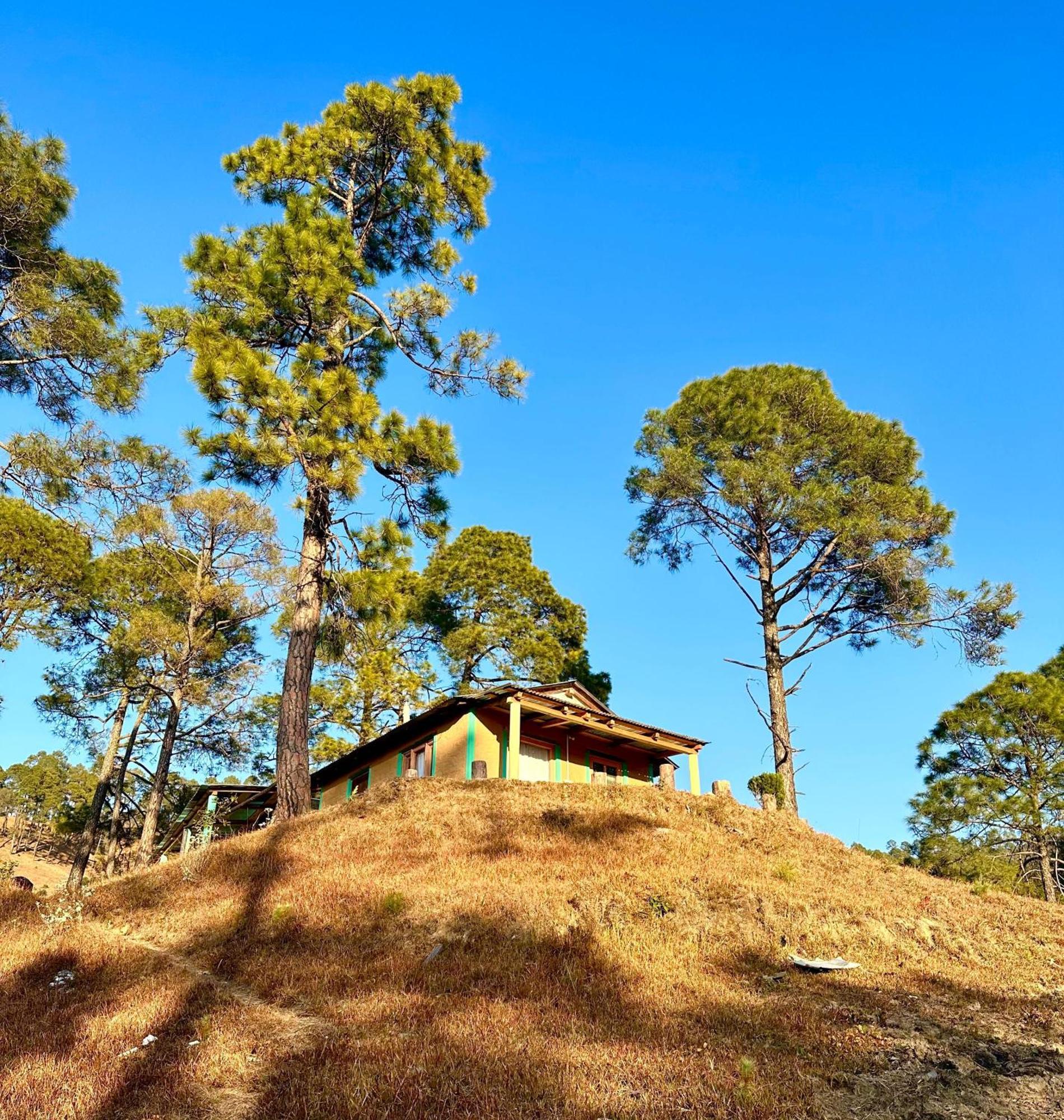 Joshi Cottage Binsar Dış mekan fotoğraf